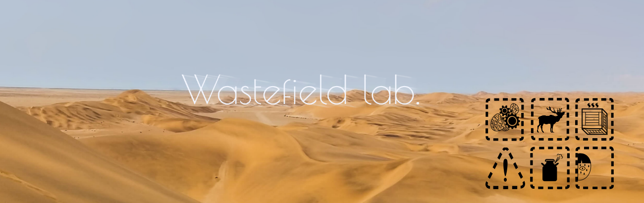название для официального сайта Wastefield Lab