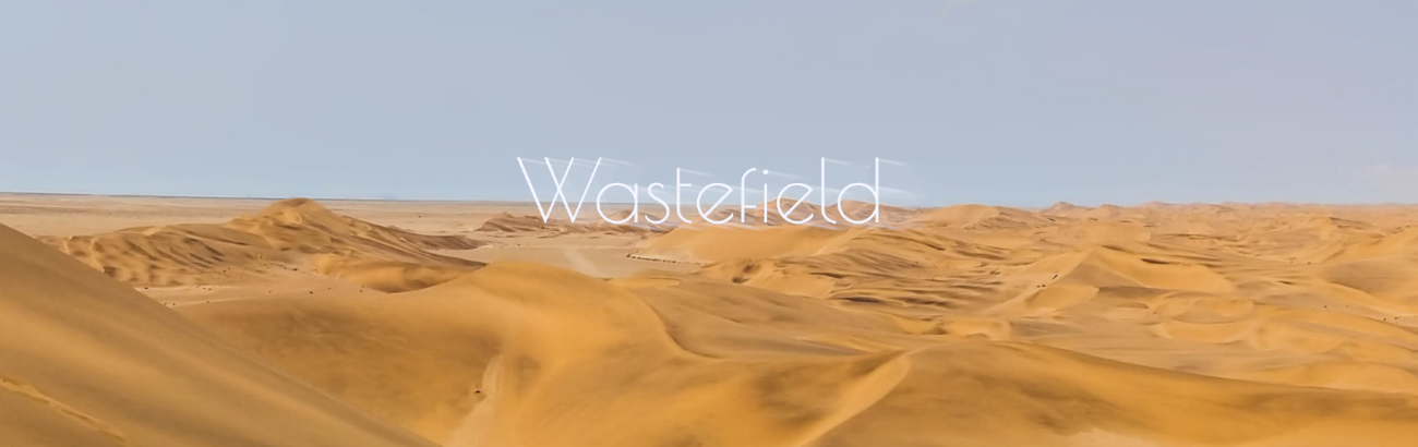 шапка маяка Wastefield