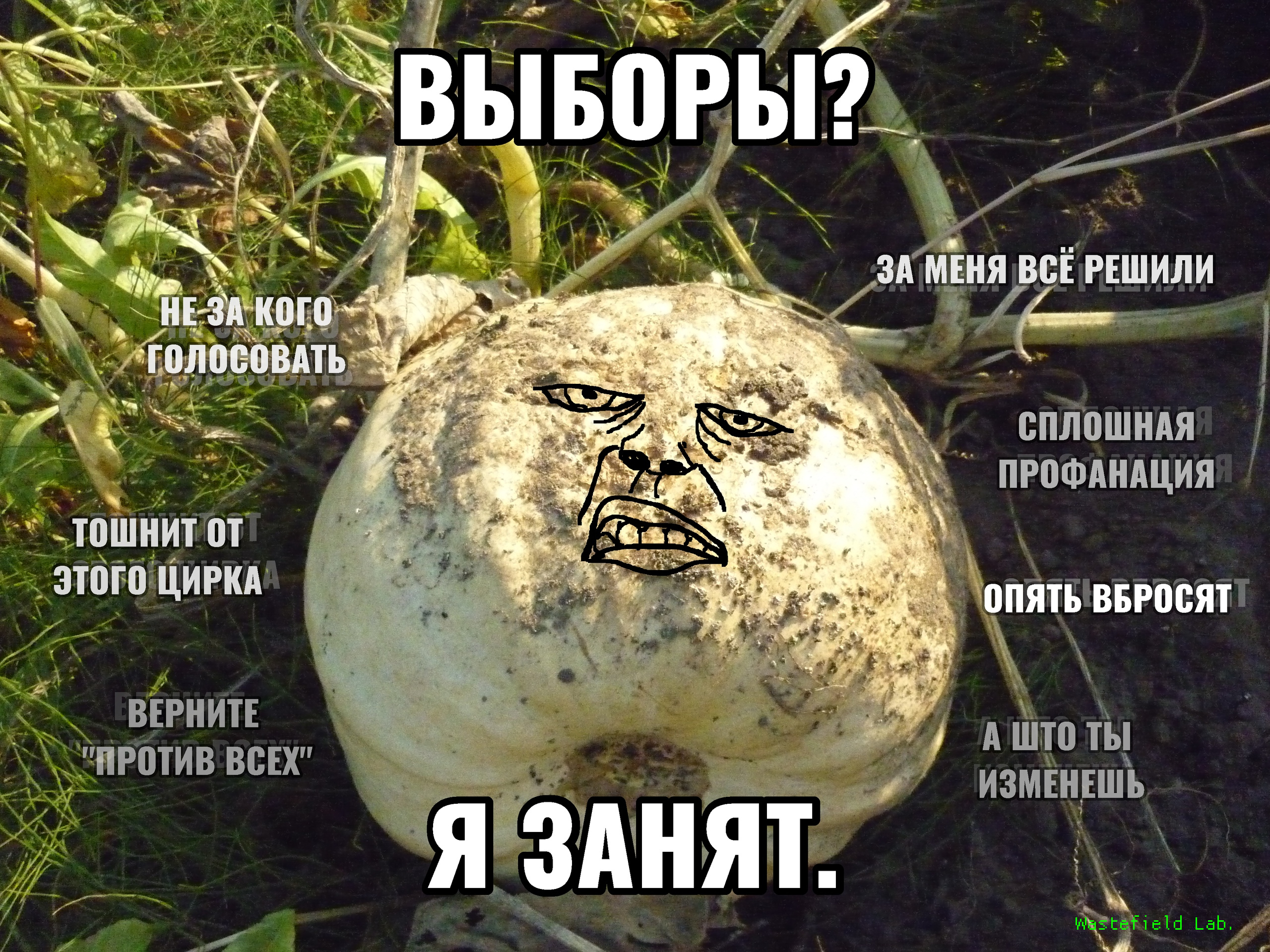 Выборы? - Я занят не пойду